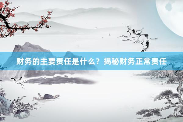 财务的主要责任是什么？揭秘财务正常责任