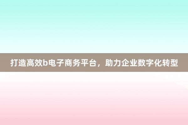 打造高效b电子商务平台，助力企业数字化转型