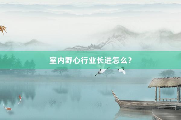 室内野心行业长进怎么？