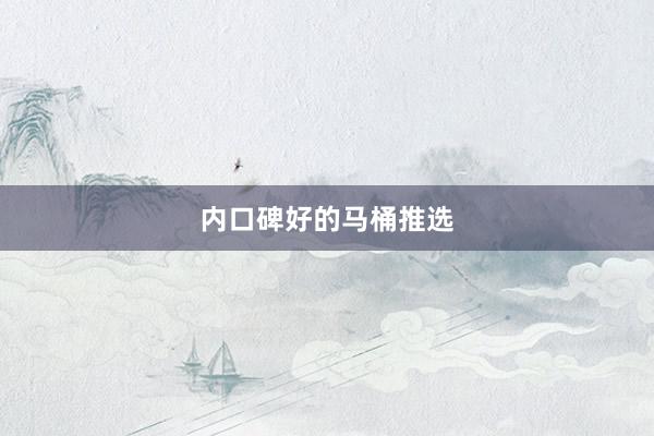 内口碑好的马桶推选