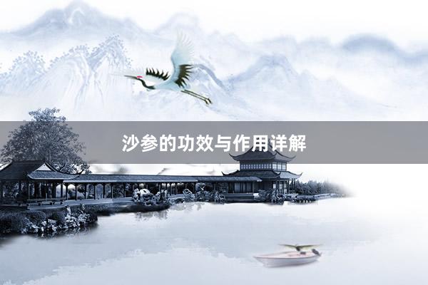 沙参的功效与作用详解