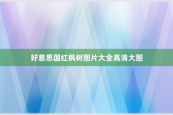 好意思国红枫树图片大全高清大图